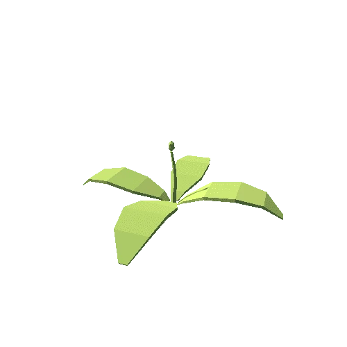 Plant 3 Variant